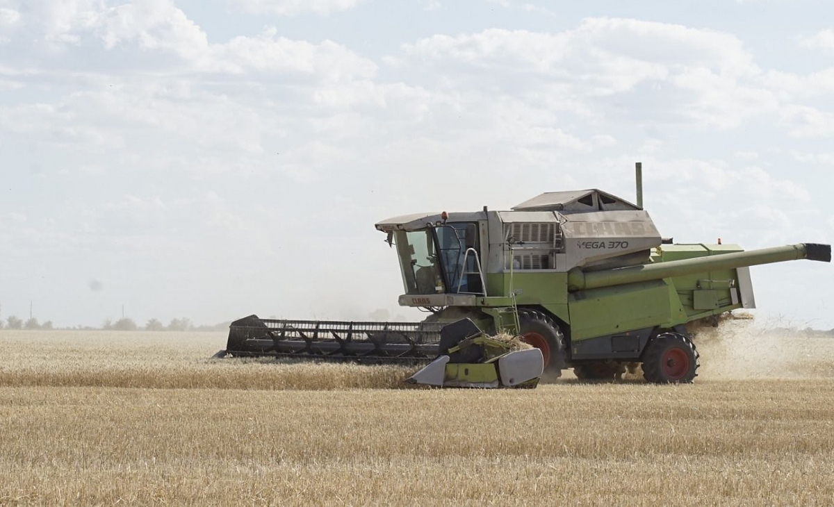 ¿Cómo está el poder de compra del campo?