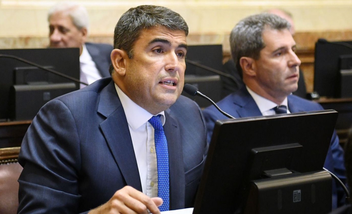 Bensusán: “El peronismo tiene que ofrecer un proyecto de futuro”