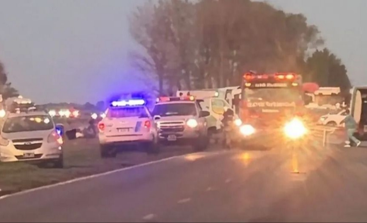 Siniestro vial: cinco muertos y dos heridos por un choque frontal