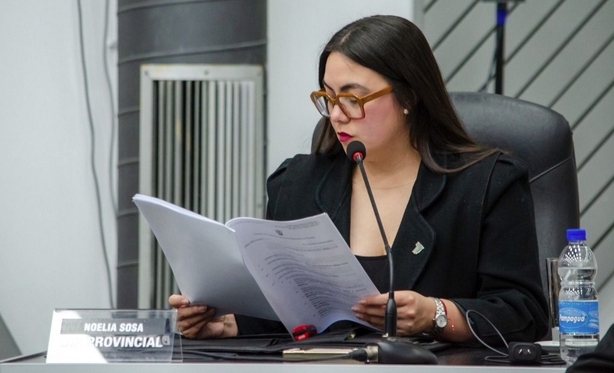 Cruce por Medanito: acusan a diputada vernista de buscar desgastar la gestión | La Arena - Noticias de La Pampa y el país