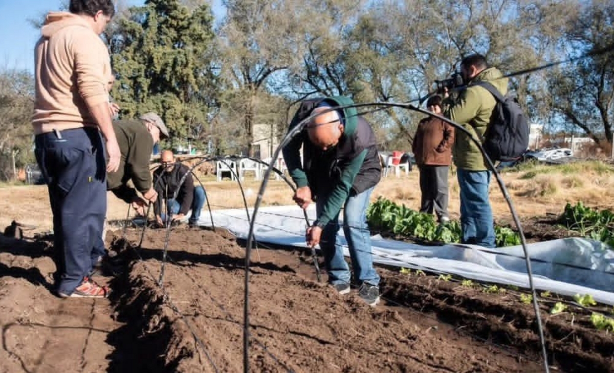 Anguil impulsa su producción hortícola con innovadores microtúneles y riego eficiente