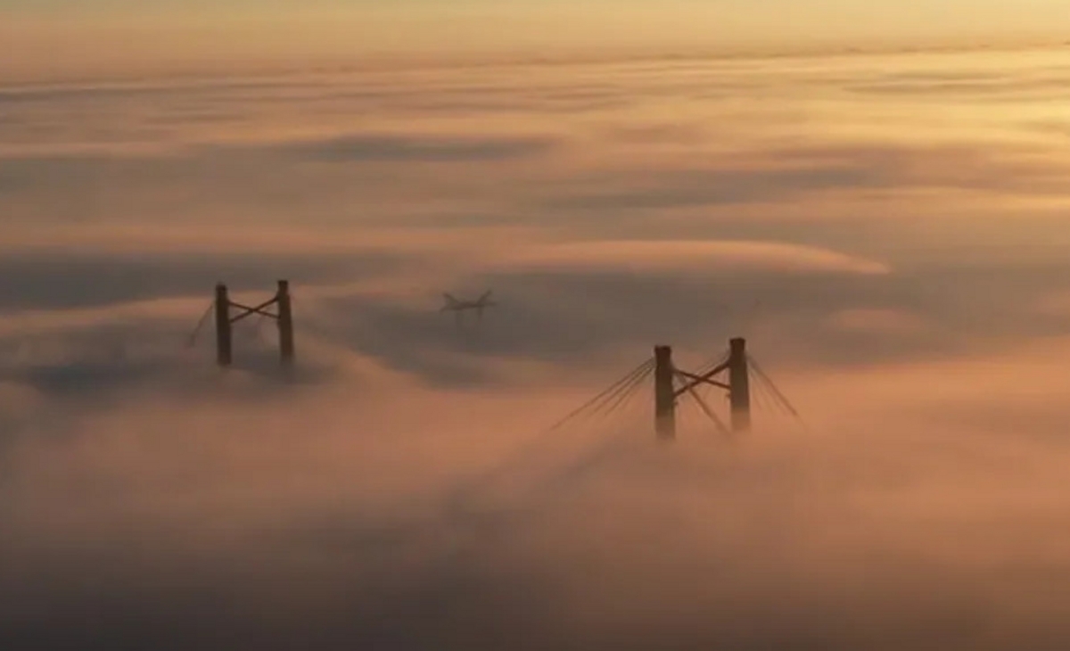 Alerta: la niebla cubre gran parte de la región y hay vuelos suspendidos