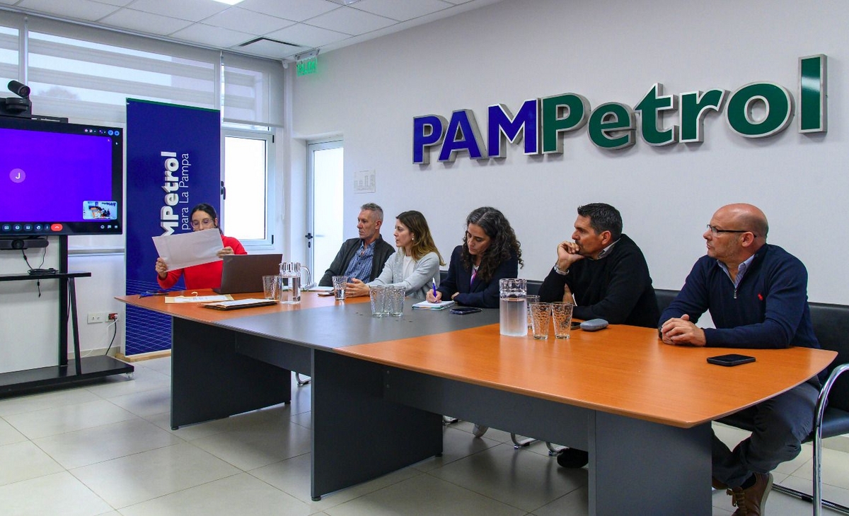 El Futuro de El Medanito: Se Abren Ofertas para la Nueva Fase Operativa