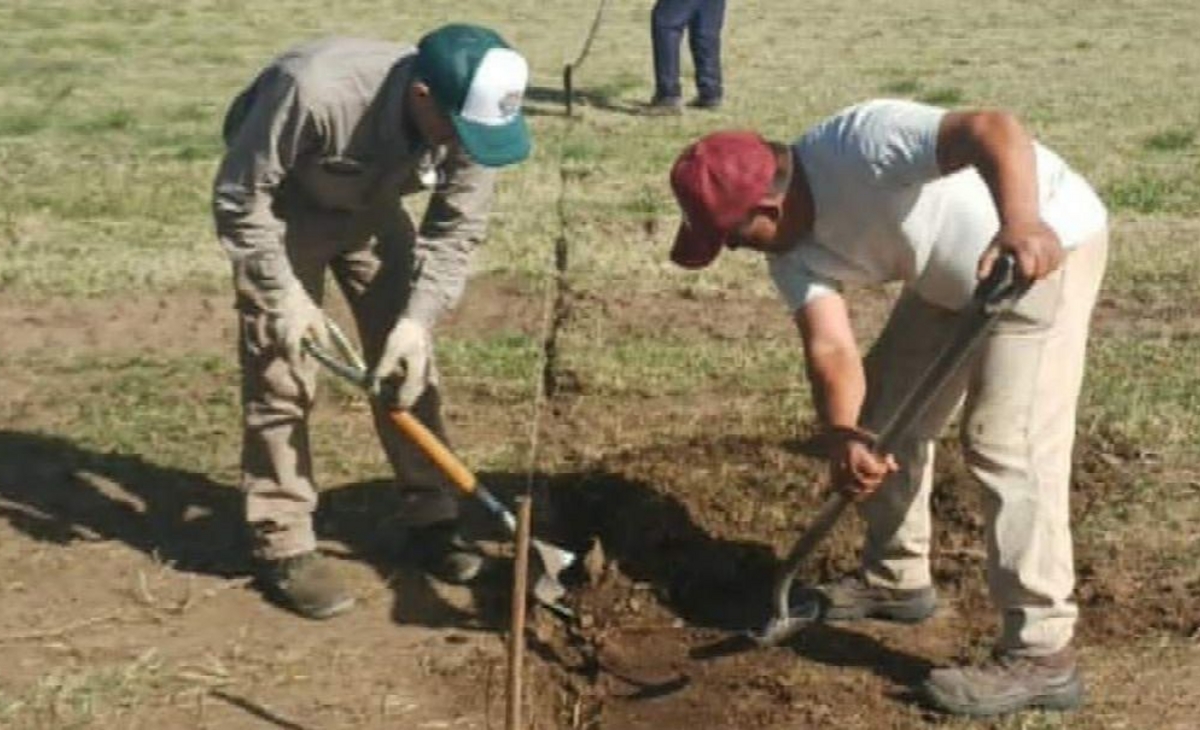 Una Nueva Plaza para Honrar el Legado de Federico Bompadre en Catriló