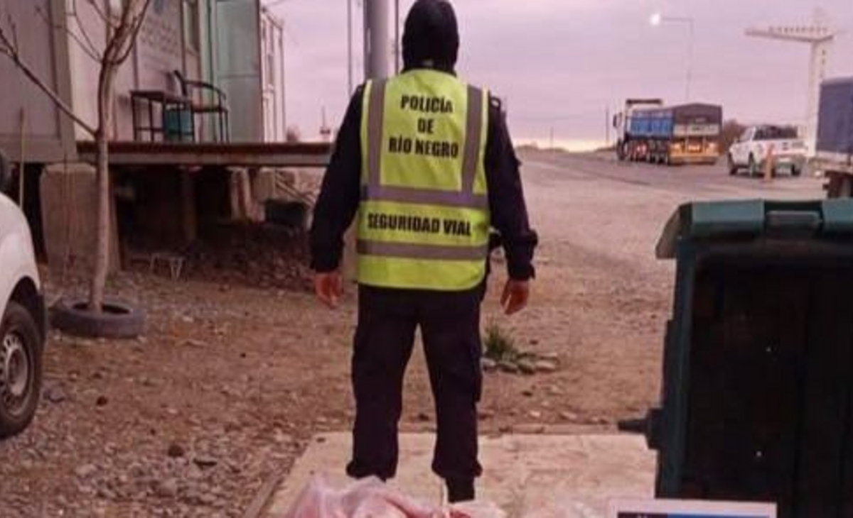 Operativo vial: confiscan 66 kilos de carne en la ruta hacia Catriel