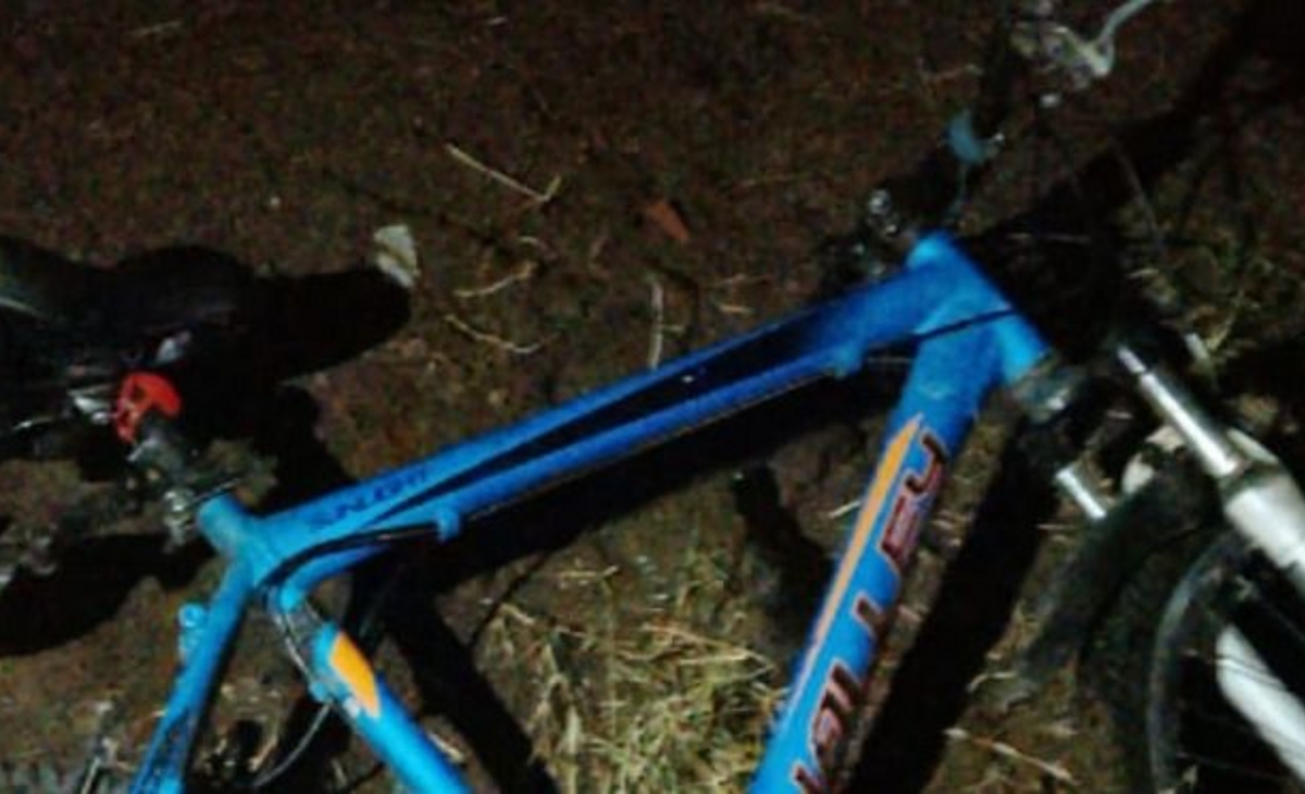 Robo en Santa Rosa: Dos detenidos tras el hurto de una bicicleta