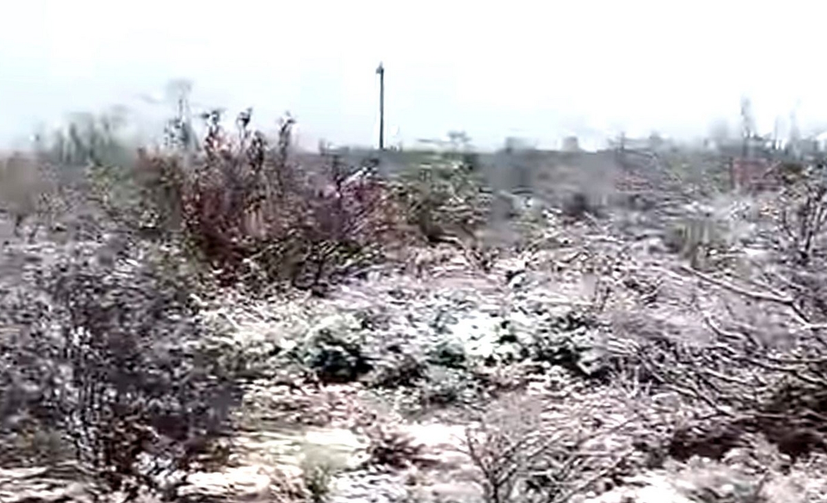 Emitieron alerta meteorológica por nevada para la región