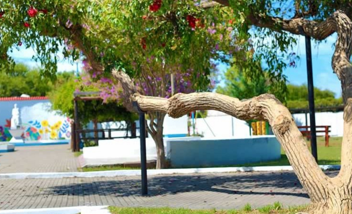 Capacitación sobre poda y cuidado de parques en Victorica