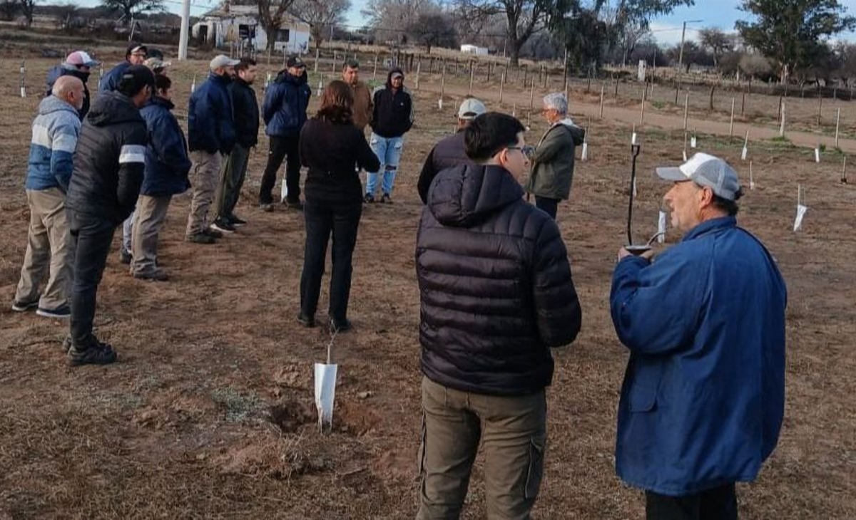 Telén impulsa un ambicioso programa para enriquecer su arbolado urbano