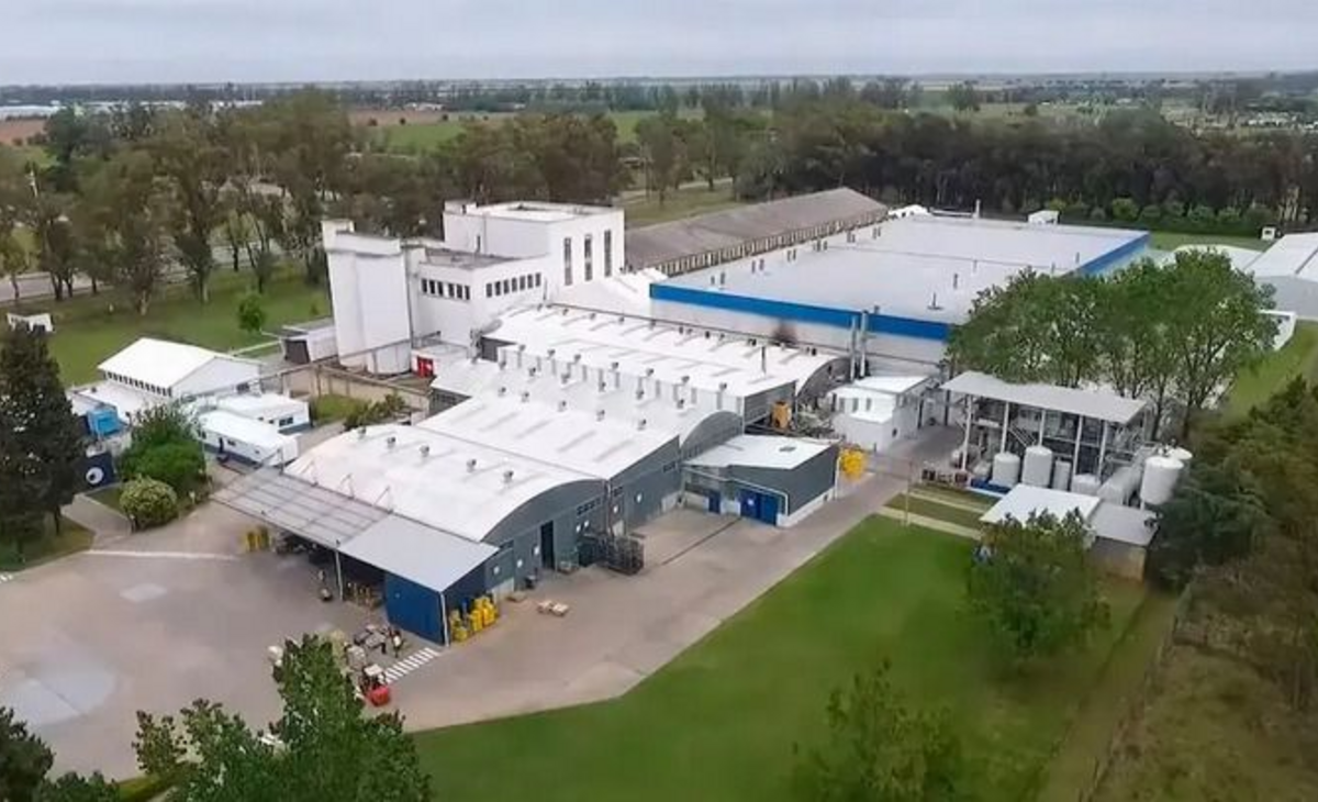 Empresa alemana para su planta en Córdoba y hay 340 trabajadores afectados