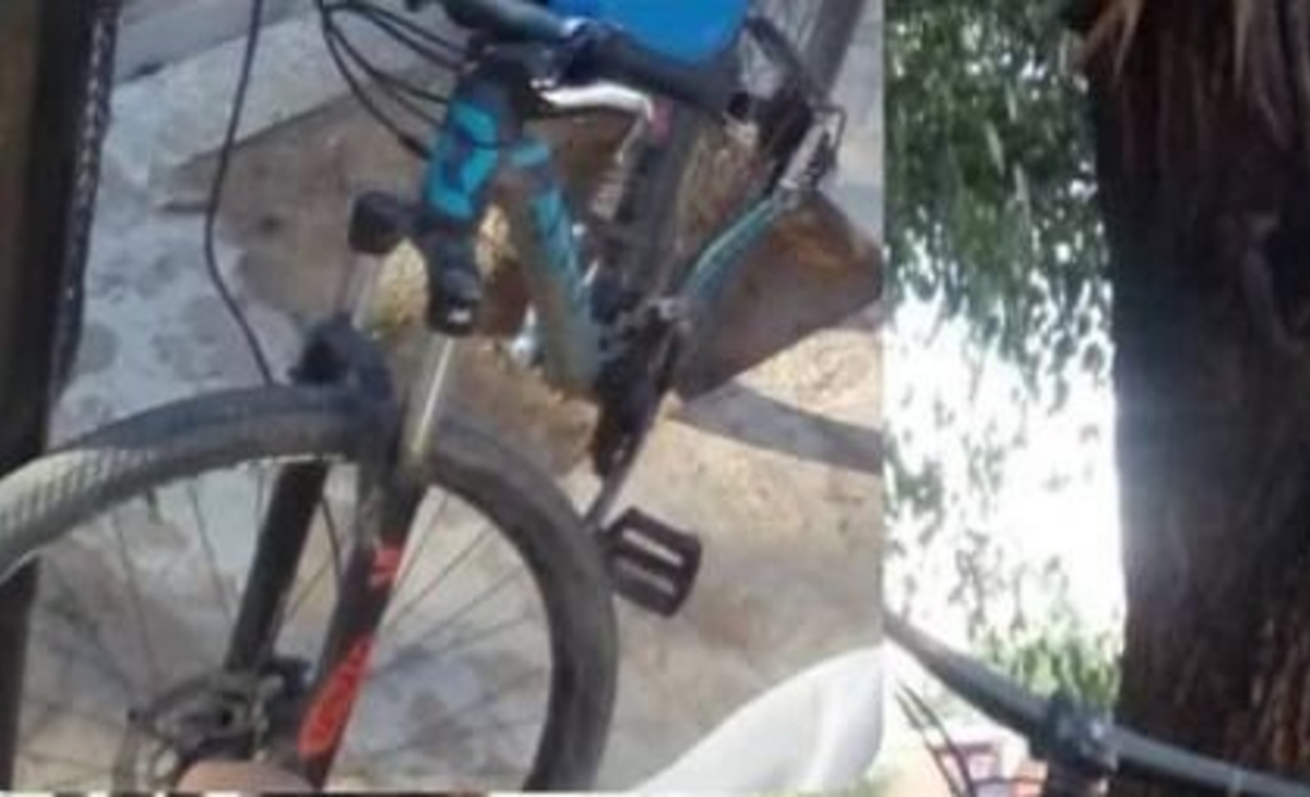 Un llamado a la comunidad: buscan una bicicleta robada esencial para una familia