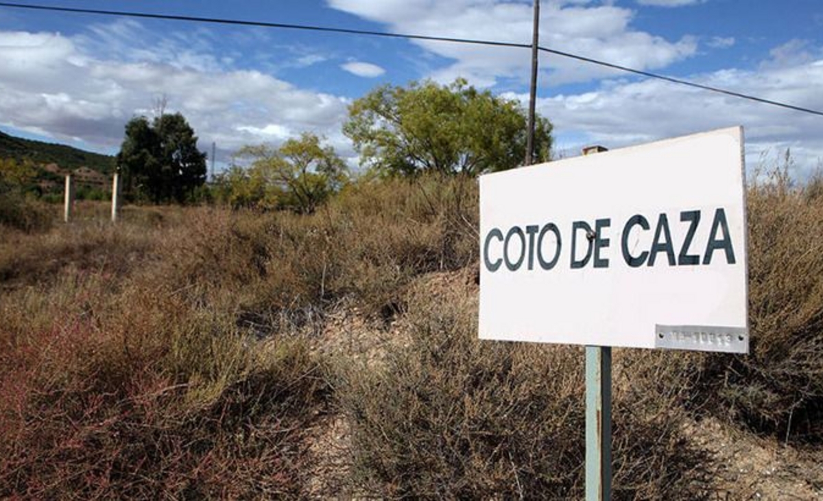La Pampa abre sus puertas a cazadores extranjeros y la caza de liebres
