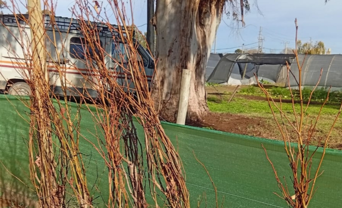 Un encuentro para aprender sobre la reutilización de madera y el cuidado del arbolado urbano