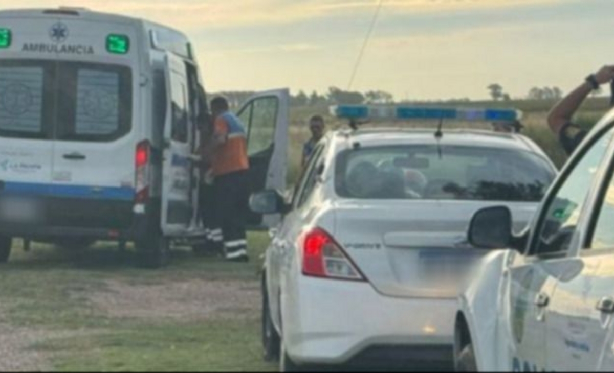 A man was pounding a tree, dropped a branch on his head and died