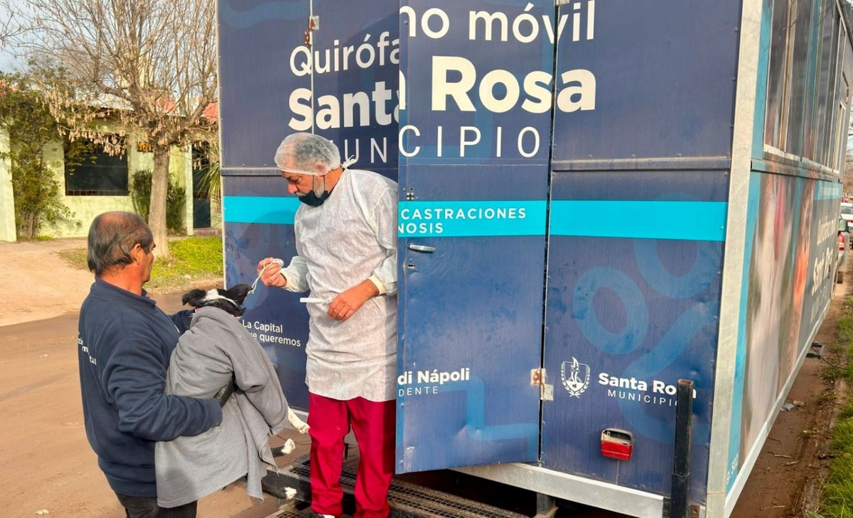 Compromiso con la salud animal: jornada de castración y vacunación en Zona Oeste Quintas