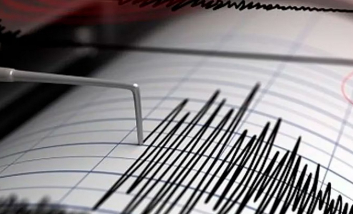 Un fuerte temblor se sintió en plena madrugada