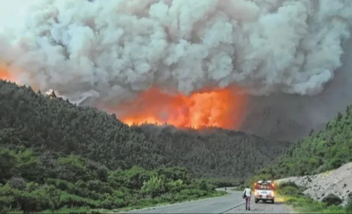 La ONU analiza otorgar fondos para financiar un plan para prevenir incendios forestales