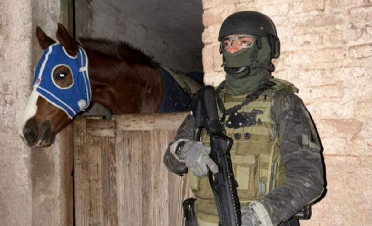 Llevaban droga de Santa Fe a Córdoba y lavaban el dinero con caballos de carrera