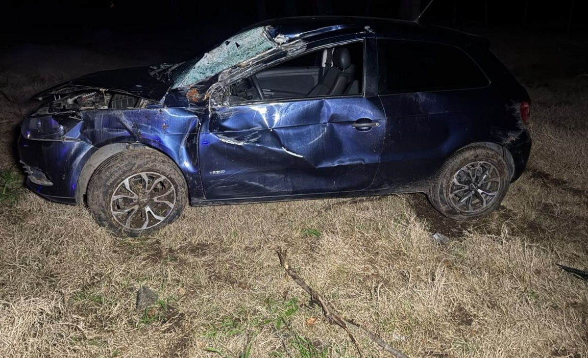 Dorila: chocó contra un árbol en la ruta provincial 1