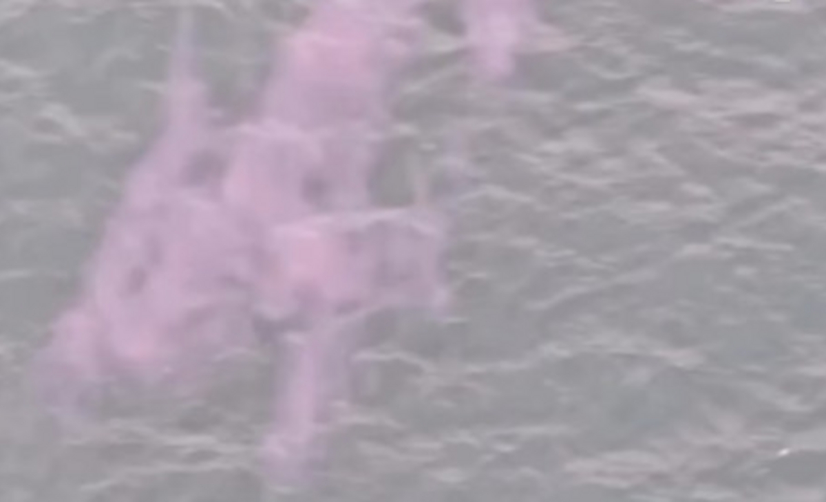 Aparecieron sombras rosas en el medio del mar en la zona de los acantilados