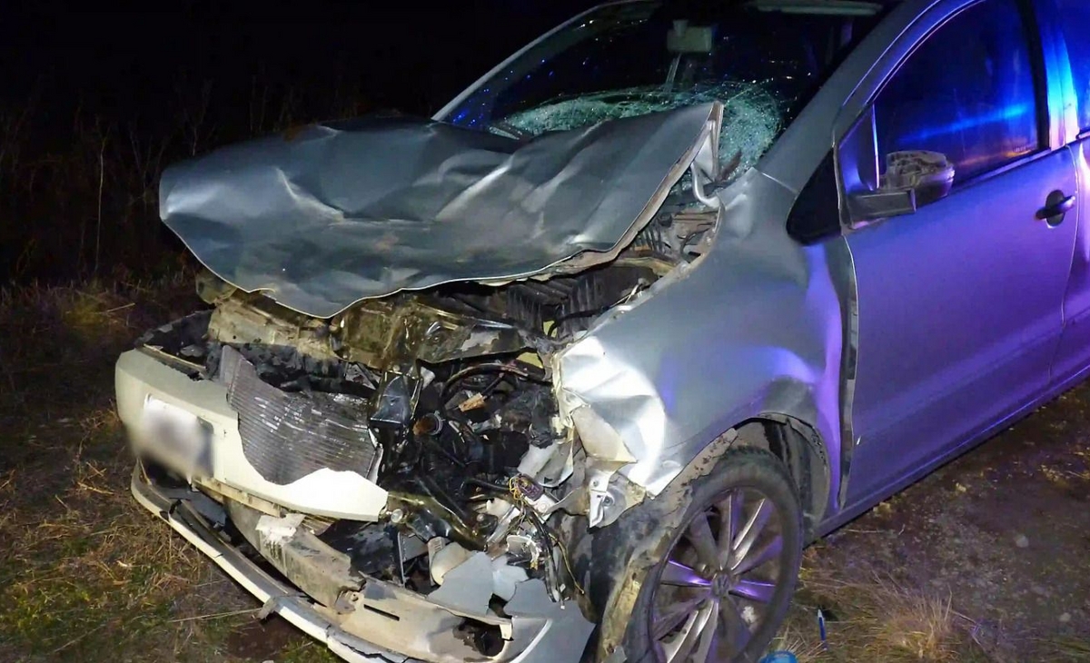 Una pareja sufrió lesiones leves tras embestir con su auto un vacuno en la ruta 101