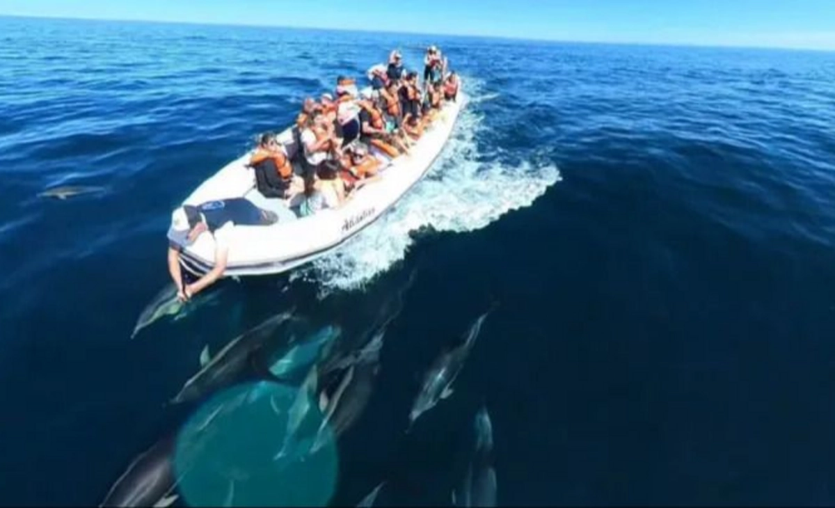 Opciones de todos los gustos para disfrutar las vacaciones en el Golfo San Matías