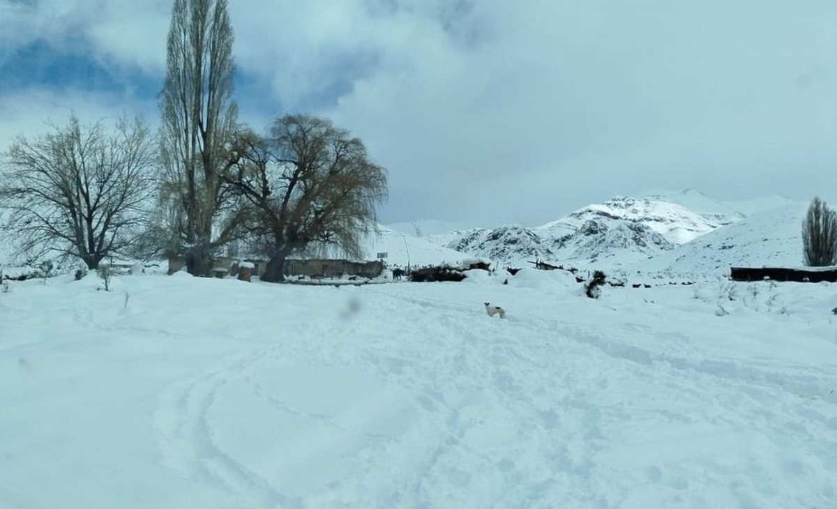 Rescataron a una familia que había quedado atrapada por una avalancha de nieve