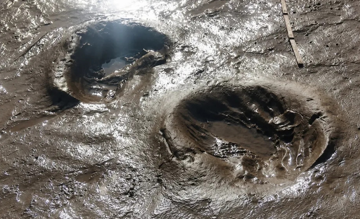 Las marejadas dejaron en evidencia pisadas de perezosos gigantes