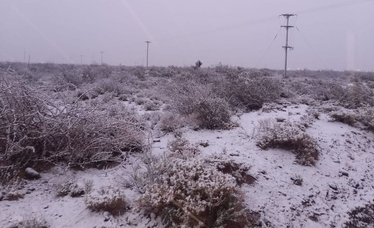 Emitieron alerta amarilla por nevadas para la región