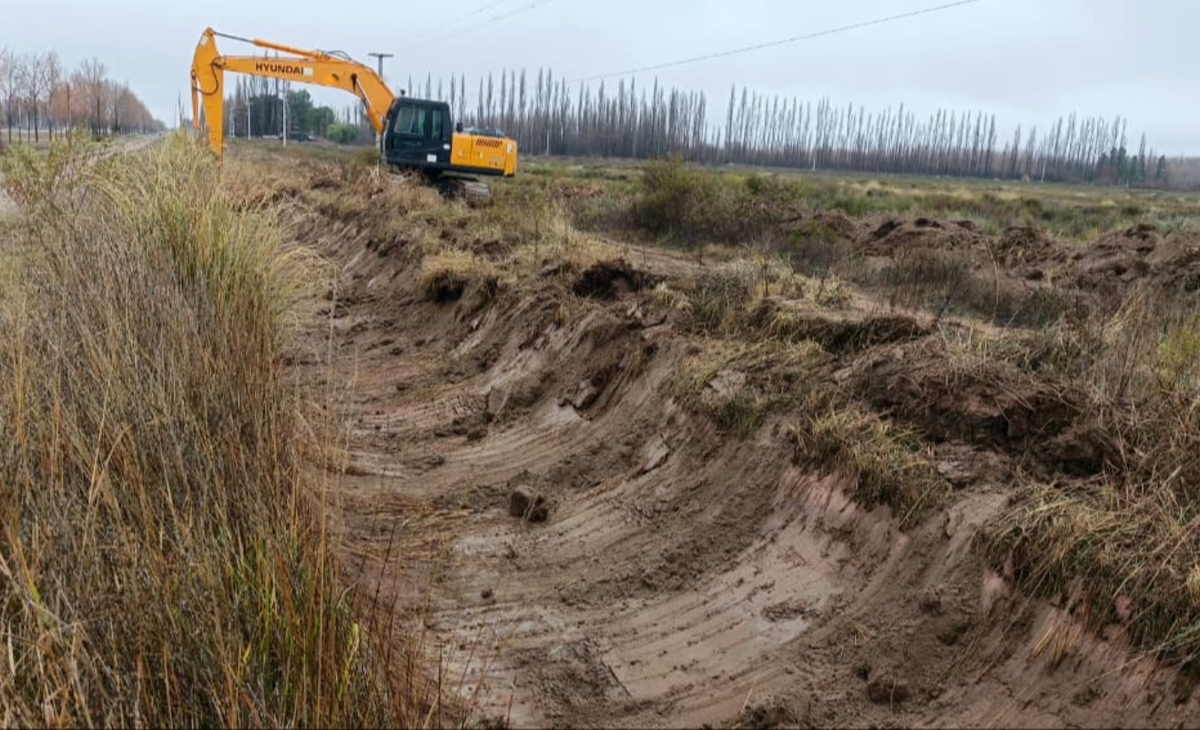 Cambio de paradigma en el EPRC: Producirán más pasturas y ganadería