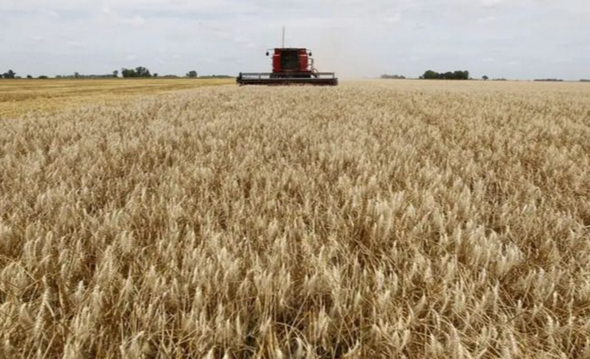 Ley de Tierras: advierten por el aumento de los precios