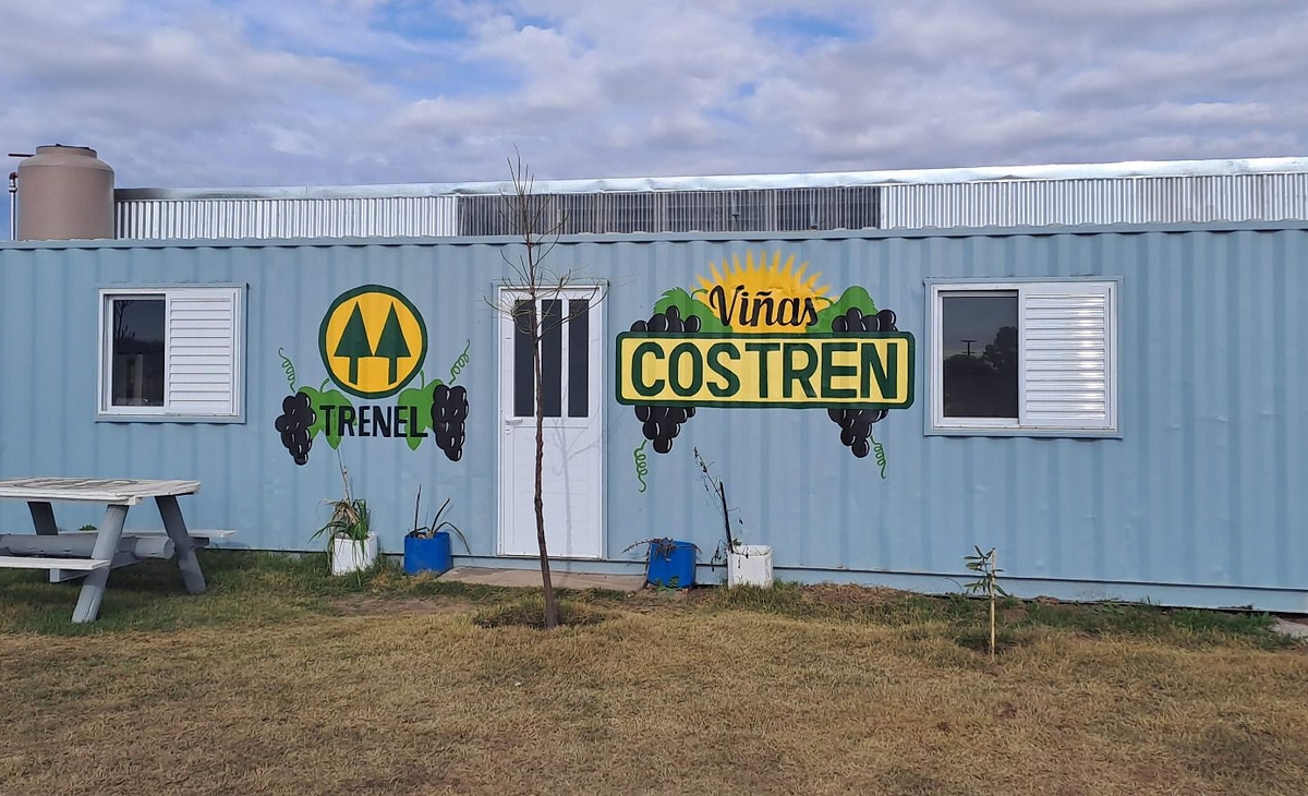 La Costren se prepara para lanzar su vino y crecer en La Pampa