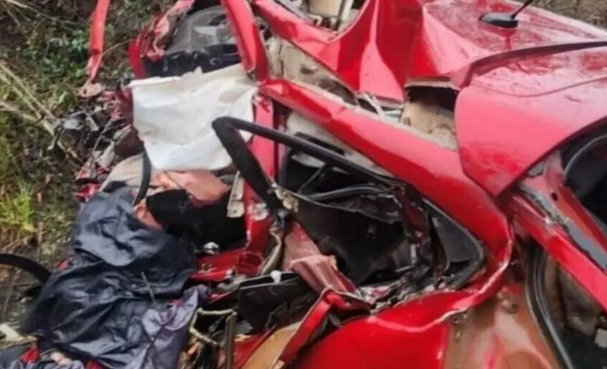 Murieron dos personas al chocar contra un bitren en Corrientes