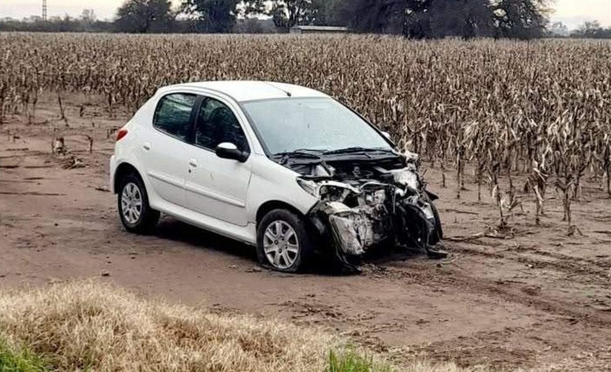 Esquivó un perro y chocó una columna