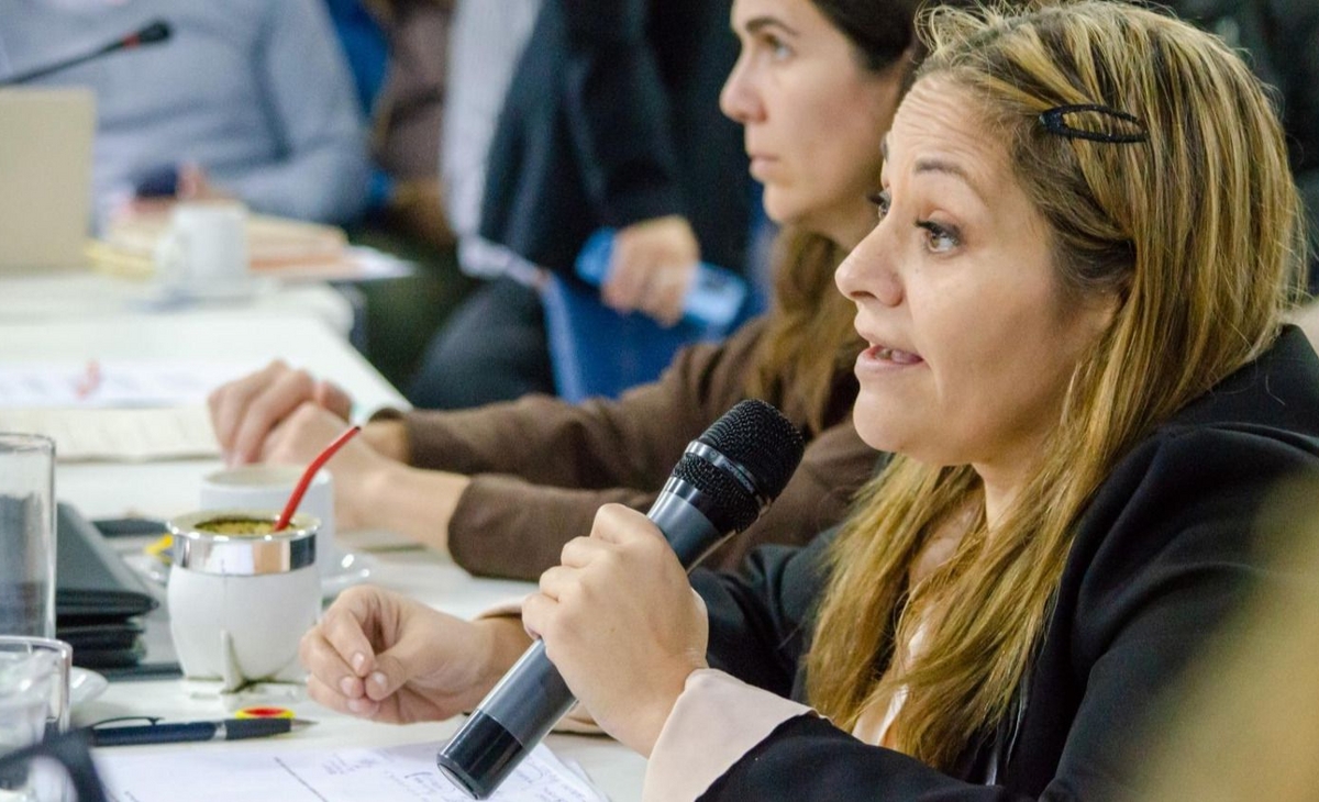 La Secretaría de Energía, Ribeiro y Pampetrol van a Diputados