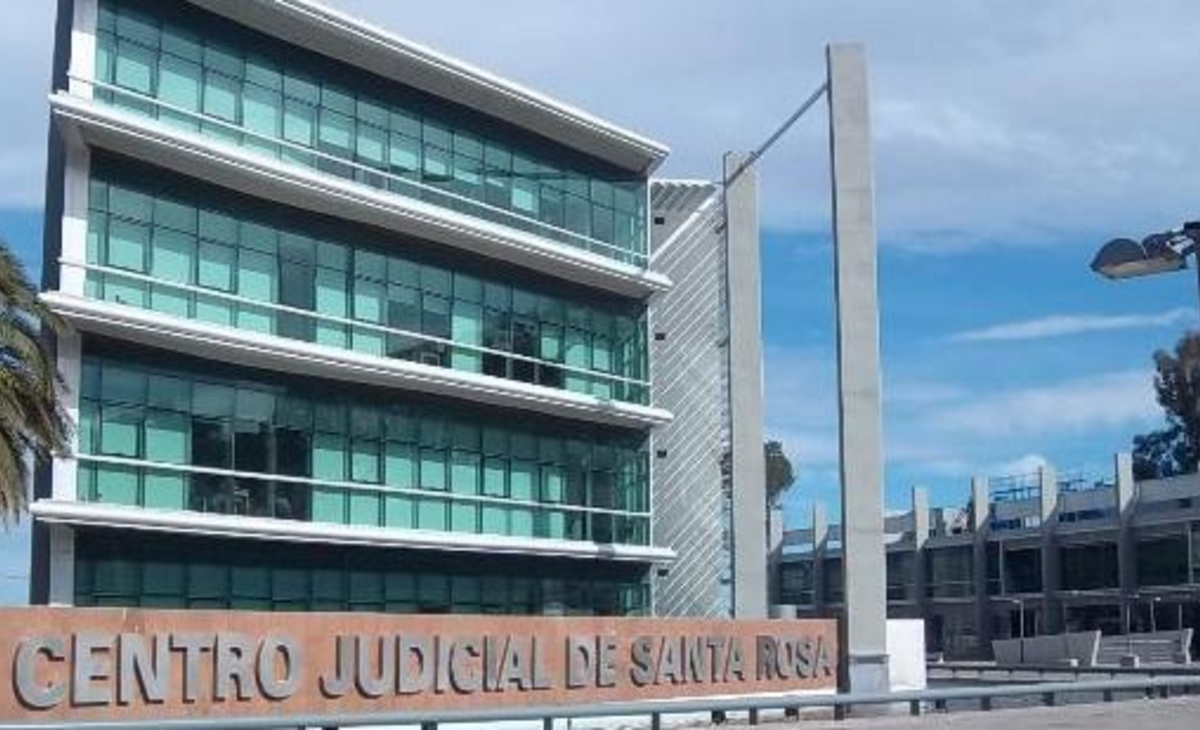 Justicia en tiempos difíciles: Absolvieron a mujer acusada de maltrato animal