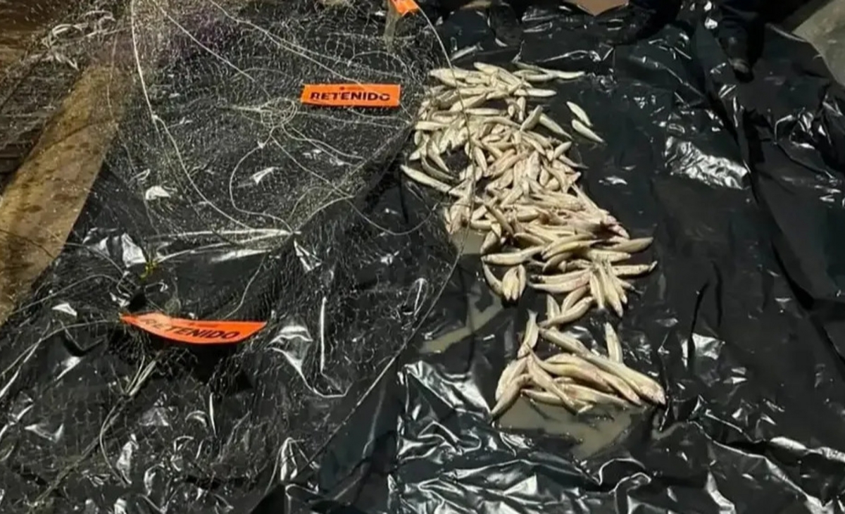 Operativo nocturno en contra de la pesca ilegal en una laguna