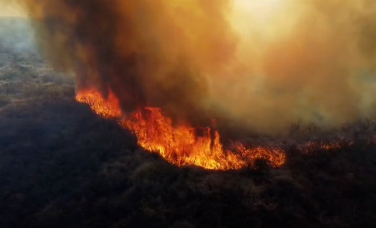 Tiró las brasas del asado, generó un incendio y lo detuvieron
