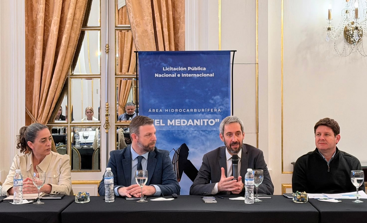Presentaron la licitación de El Medanito a 17 empresas del sector energético