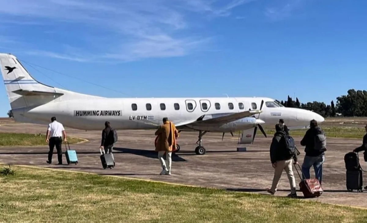 Un tero generó que se suspendieran vuelos entre Buenos Aires y Tres Arroyos