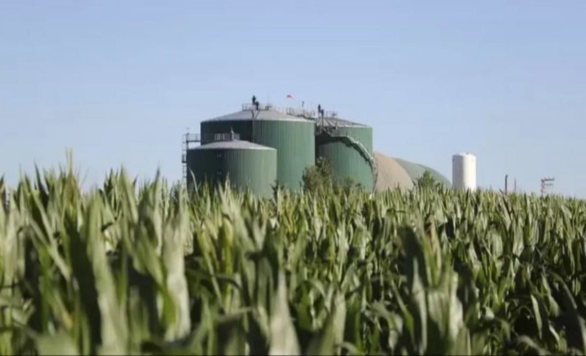 Aceiteros reclaman a Nación por una nueva Ley de Biocombustibles ante el avance de Brasil