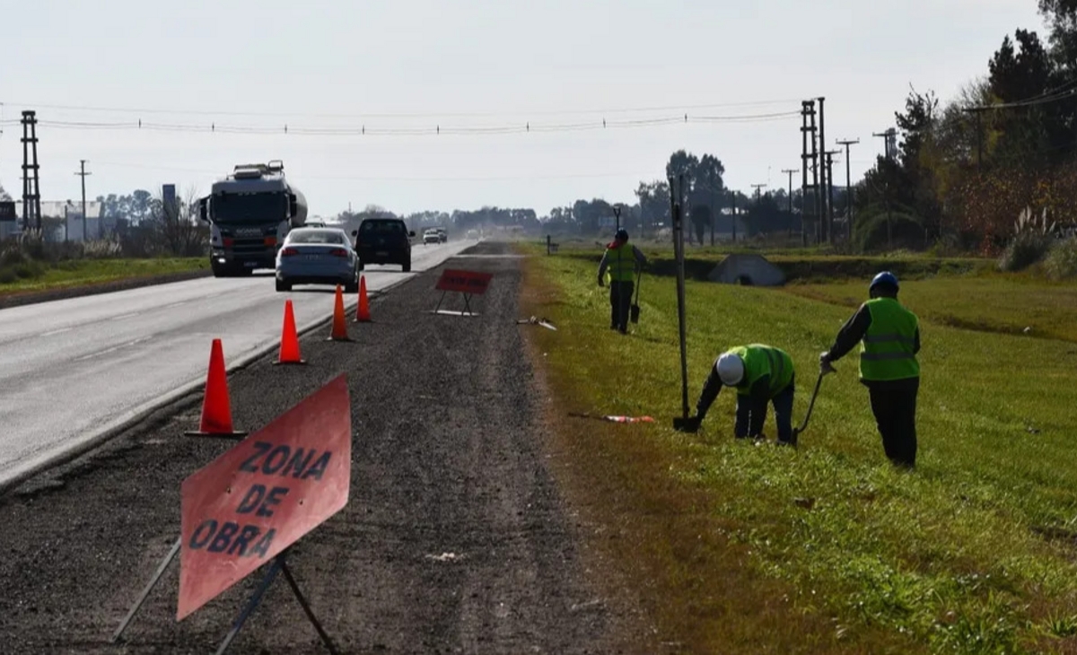 Presentan un proyecto para sembrar al costado de rutas nacionales