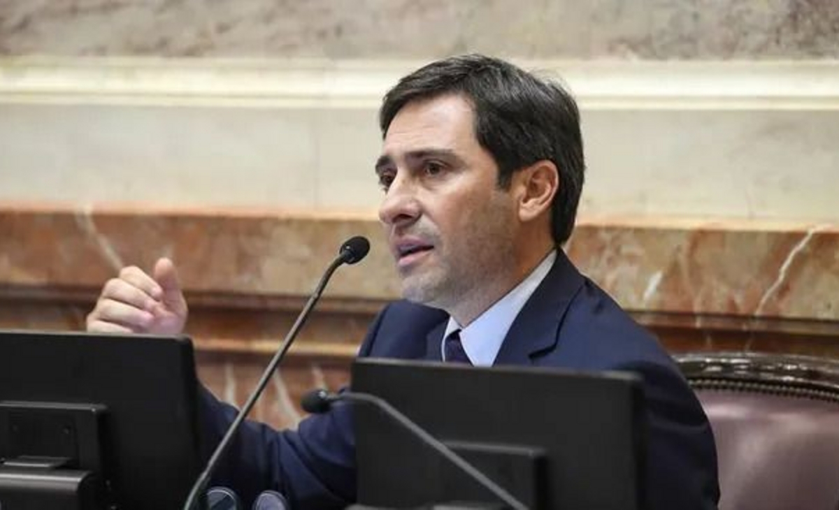 Tensión en el PRO: senador rechazó alianza con LLA y defendió las PASO