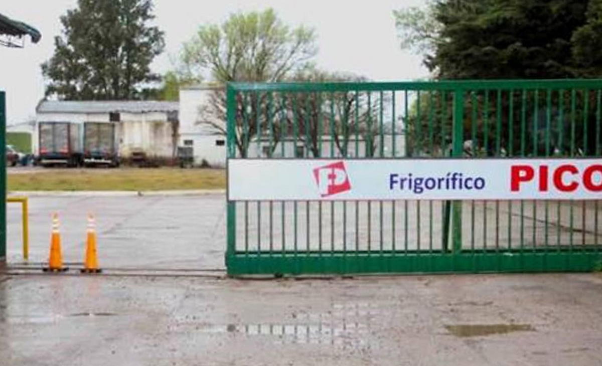 Controversia en Frigorífico Pico: accionistas cuestionan gestión y distribución de utilidades
