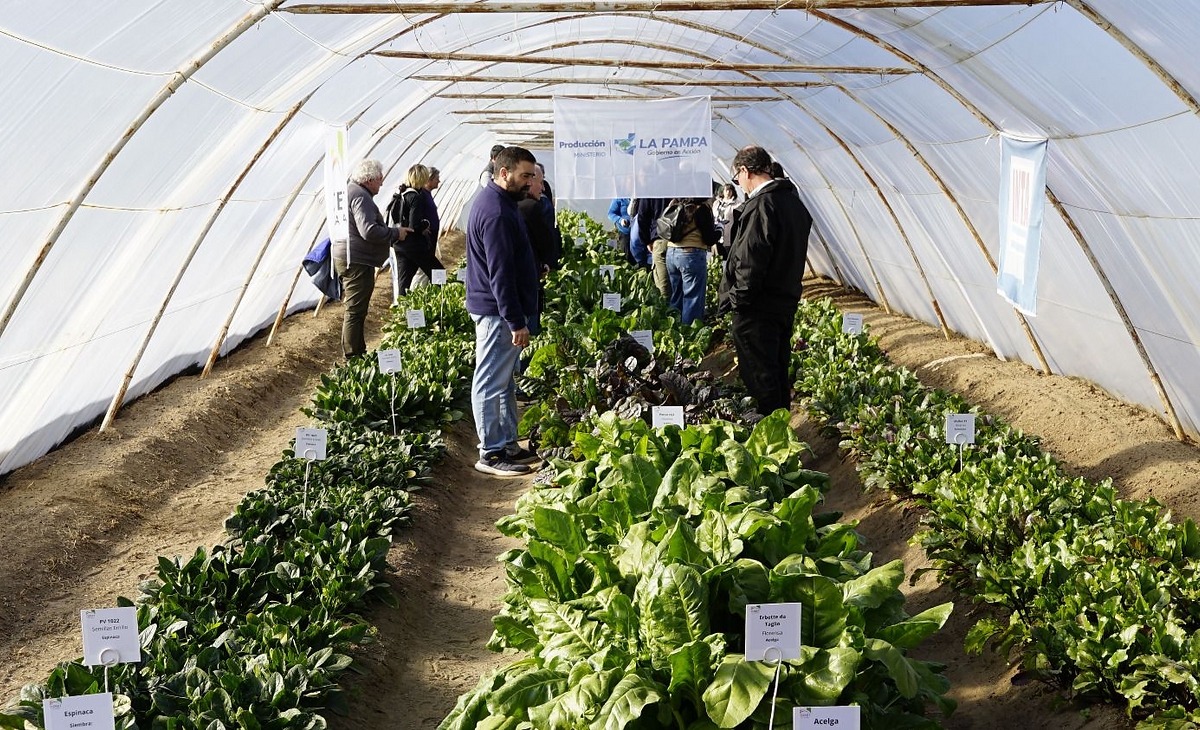 Innovación y Aprendizaje: Primera Jornada Hortícola Invernal en General Pico