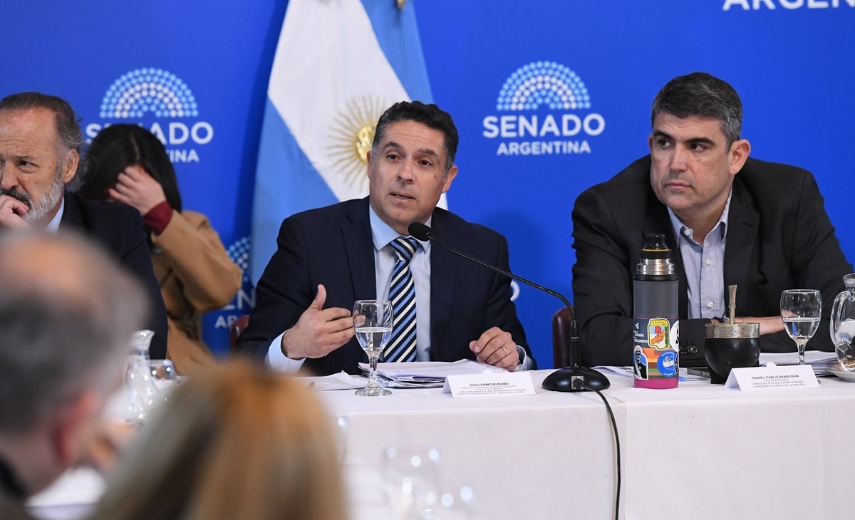 Bensusán cuestionó sociedades de IA: “Ante un perjuicio, no habría quién responda”