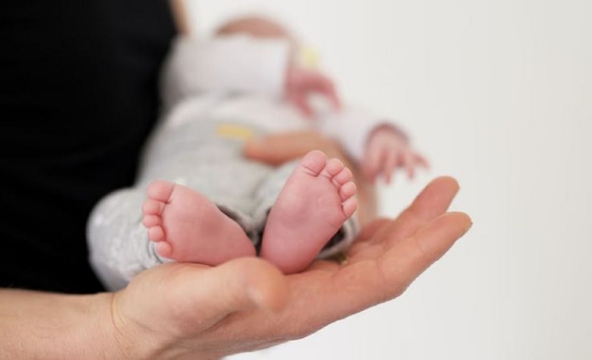 Especialista cruzó a Milei y desmintió que el aborto cause la baja de natalidad