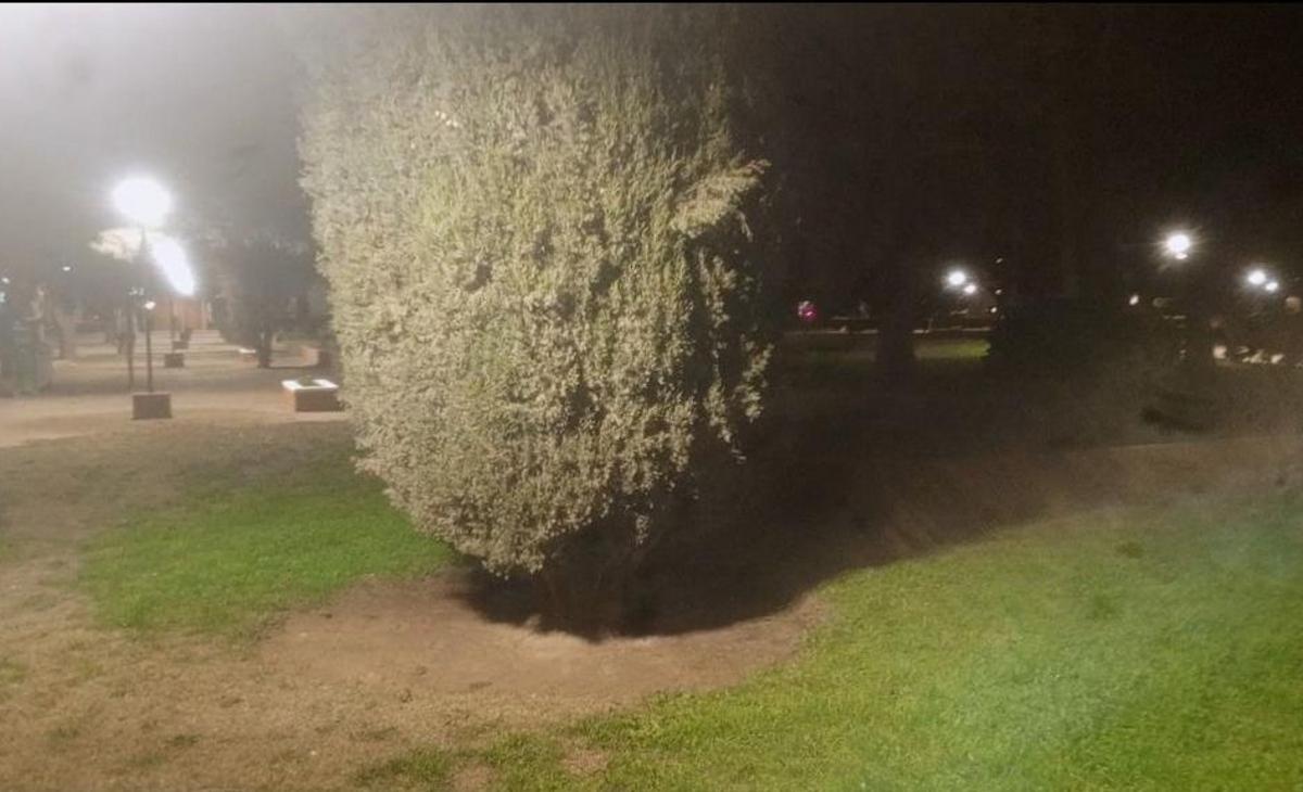 Renovaron las luminarias de las tres plazas de Jacinto Arauz