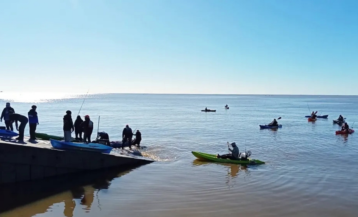 Piden a los pescadores que donen los ejemplares para investigación