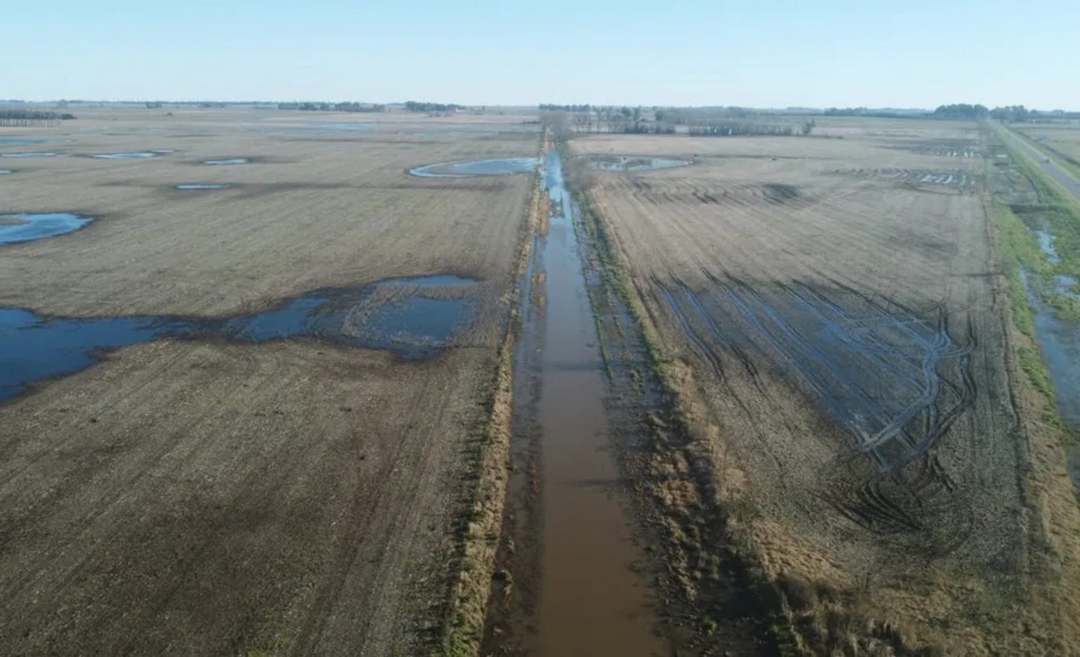 Inundaciones: se declaró la emergencia agropecuaria en distintos partidos